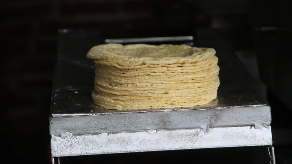 JE071120238054Tortillerias
