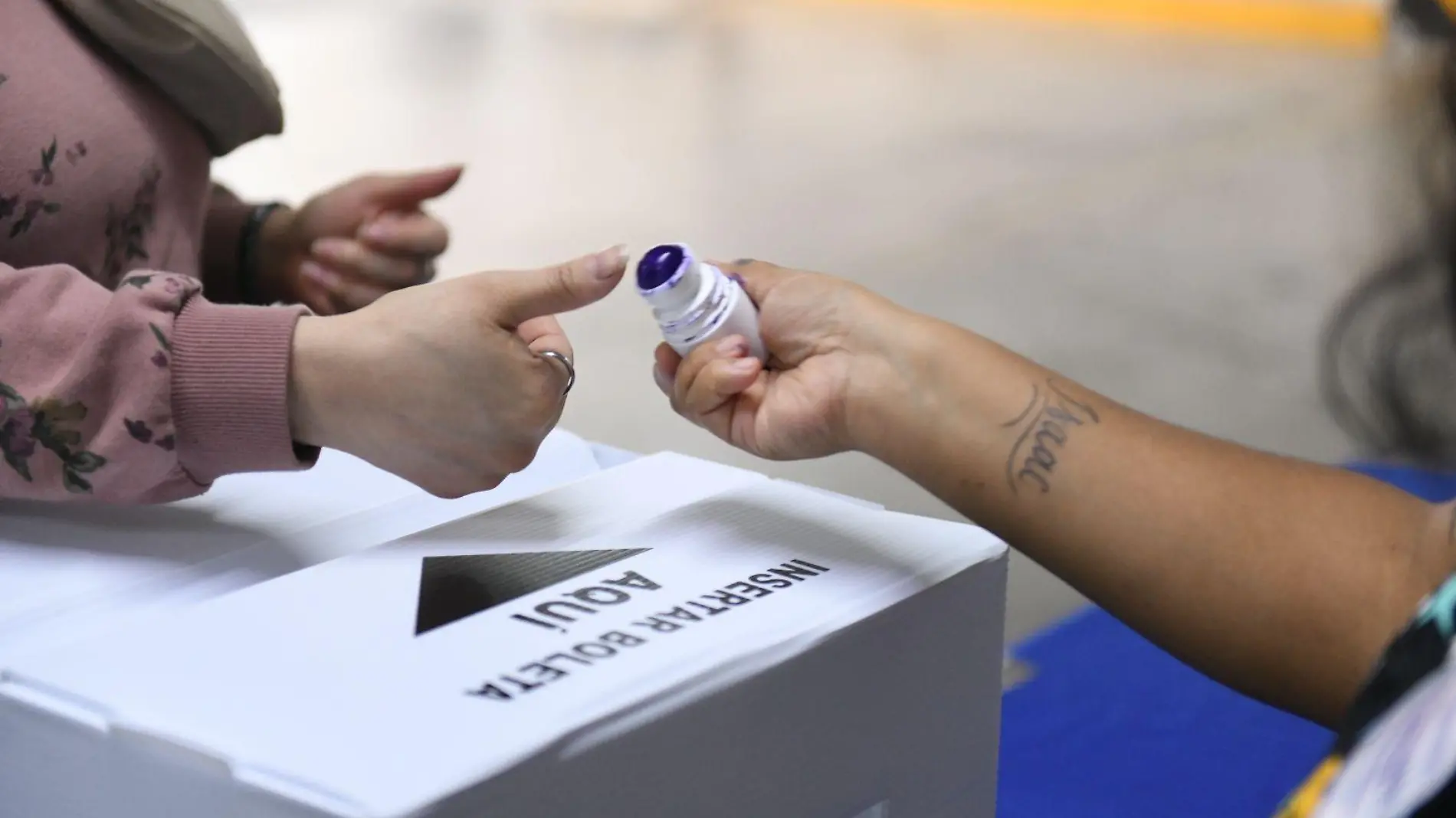 Votaciones de panistas xalapeños 