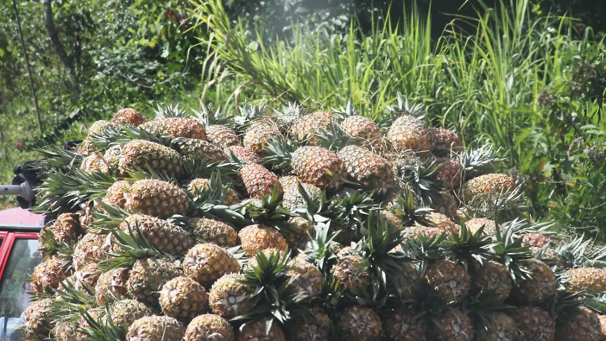 J Escamiroza-Piña02