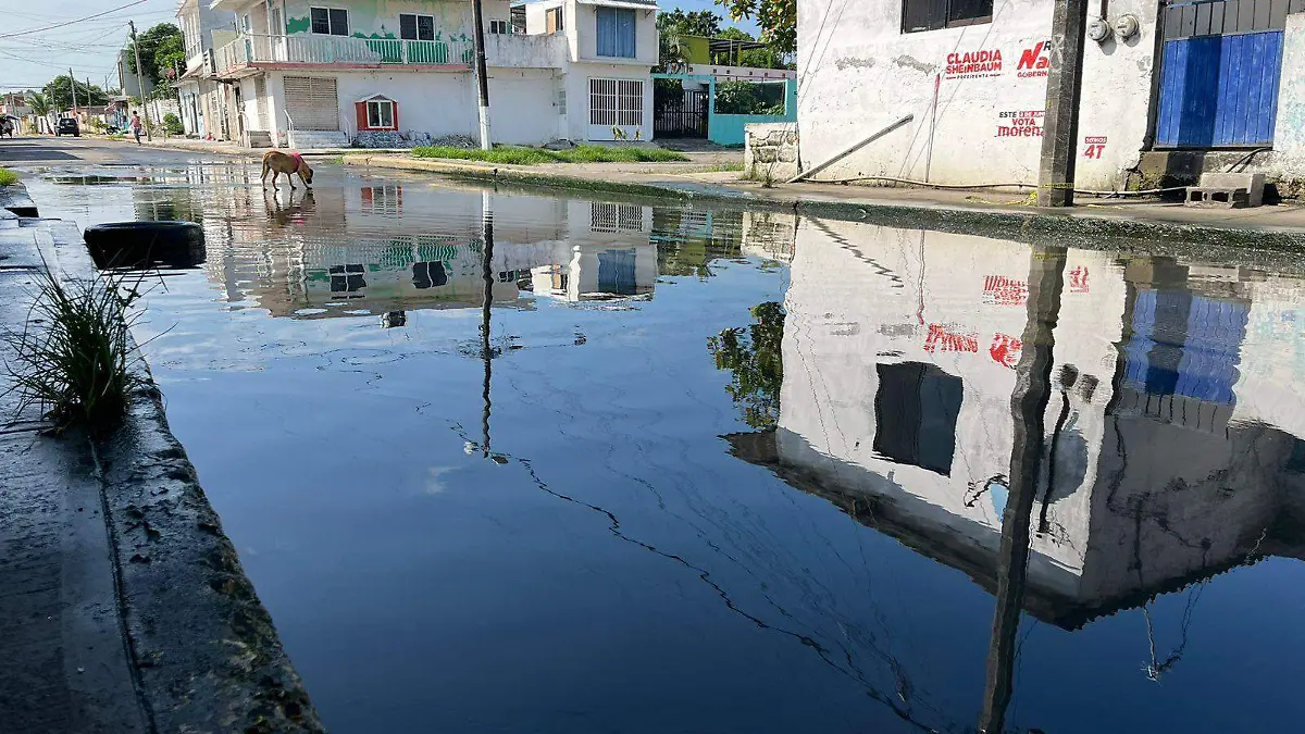 Encharcamientos y olores fétidos, así viven en colonia de Boca del Río