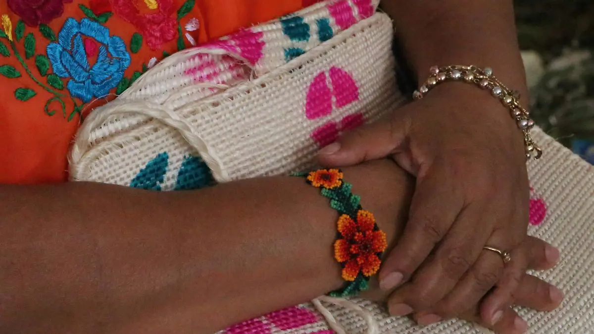 david- Lenguas Indigenas_9542