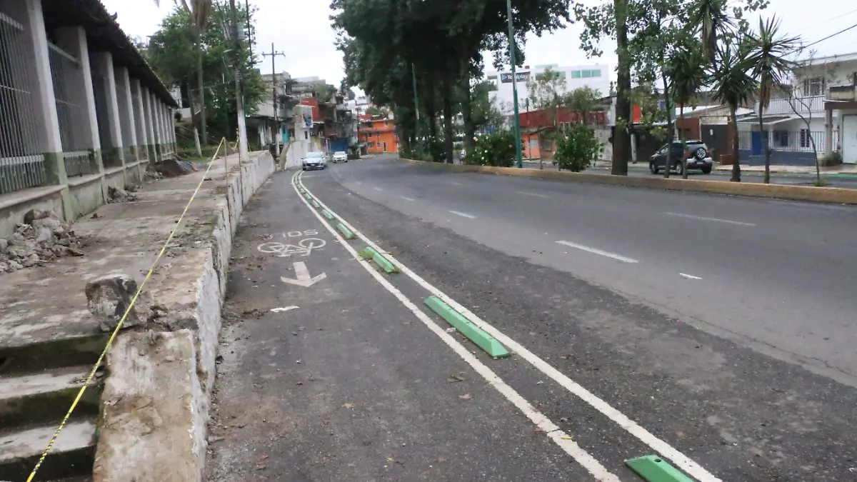 Ciclovía en avenida Ruiz Cortines