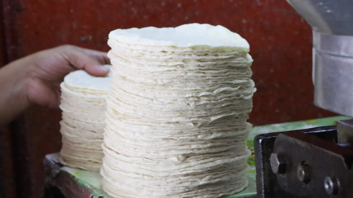 david- Tortilla234