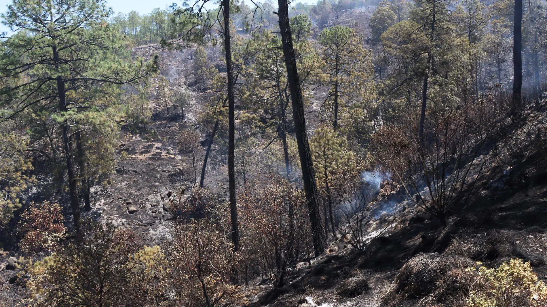 Incendio-Xico-bosques-22mayo-ricardo03