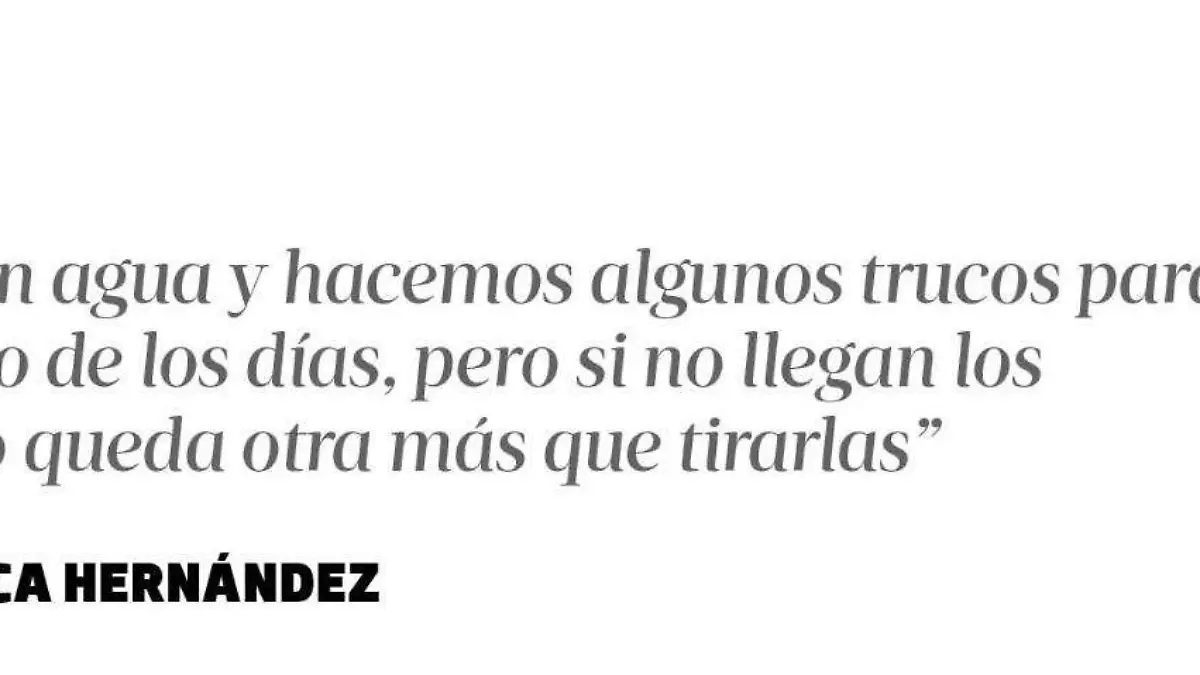 Cita | Flores | INFOGRAFÍA