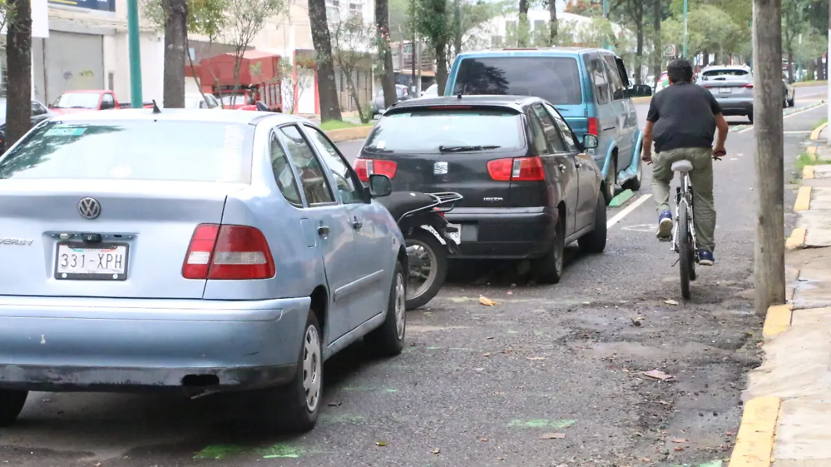 Ciclovía en avenida Ruiz Cortines