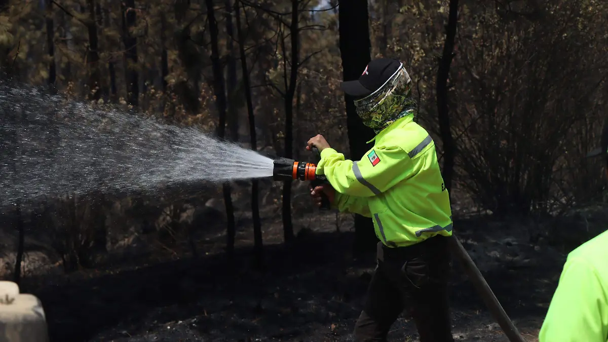 Incendio-Xico-bosques-22mayo-ricardo01