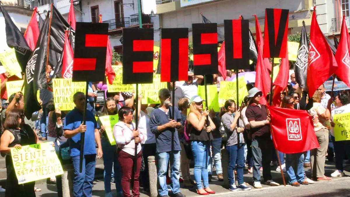 WhatsApp Image 2024-01-26 at 13.26.47 (3)