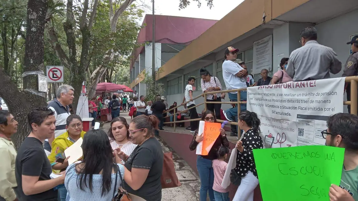 WhatsApp Image 2024-08-22 at 12.28.49