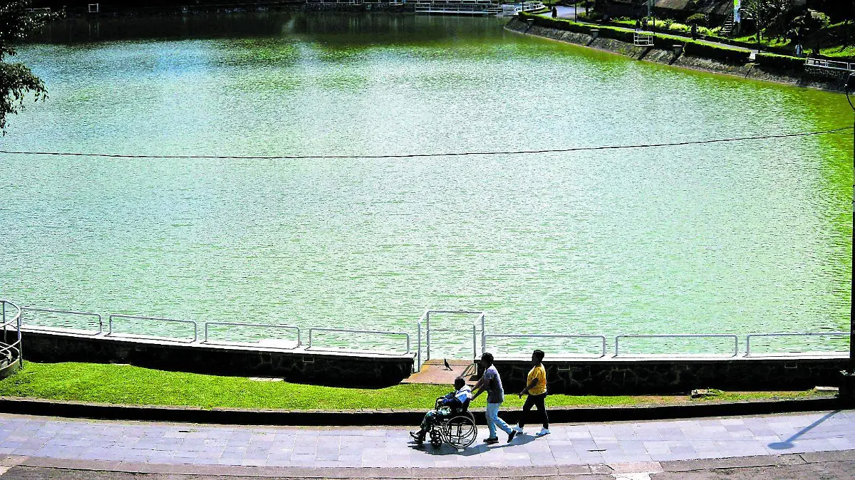 RENÉ-CUIDADORAS_CMYK