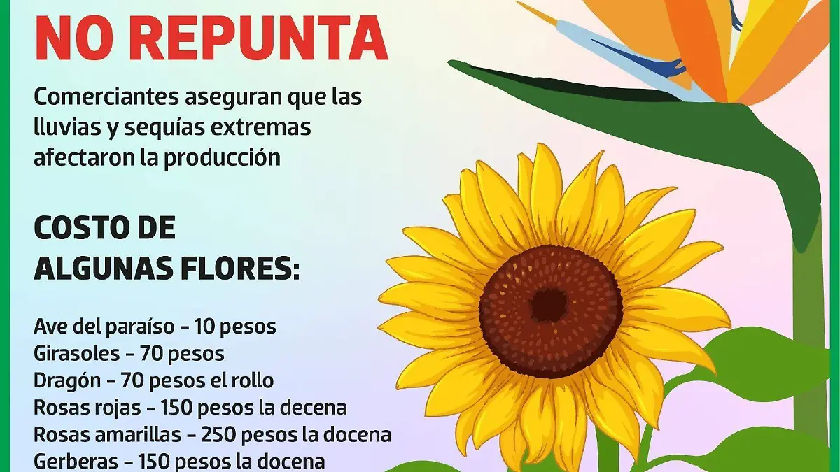 Flores en Xalapa | INFOGRAFÍA