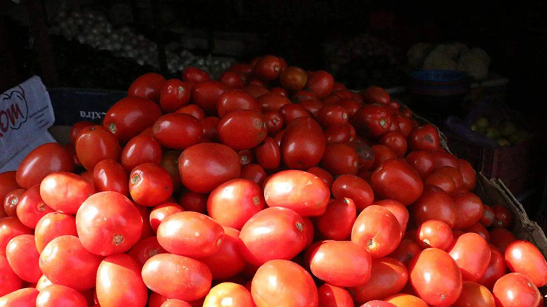 En-Xalapa-frutas-y-verduras-aumentan-de-precio