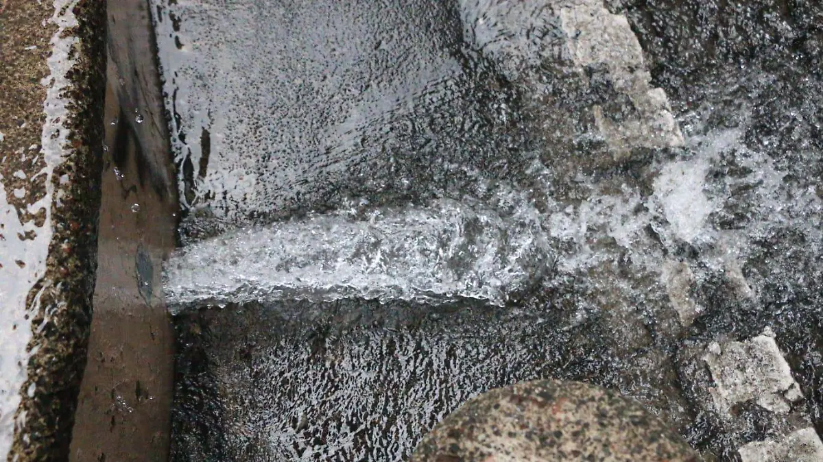 WhatsApp Image 2024-06-20 at 13.14.23