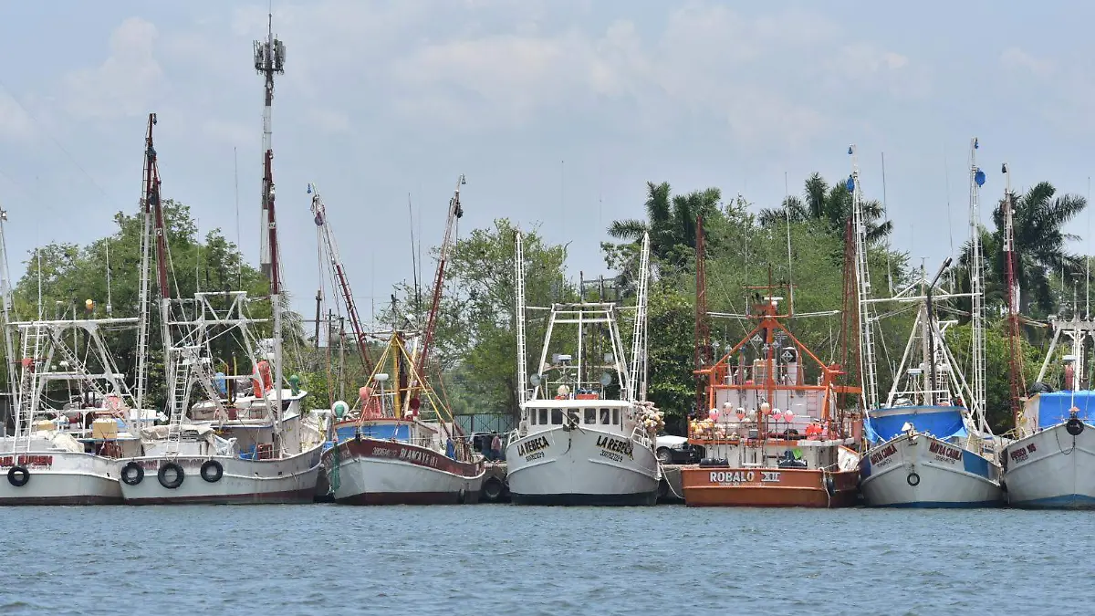 RENE-TUXPAN (2)