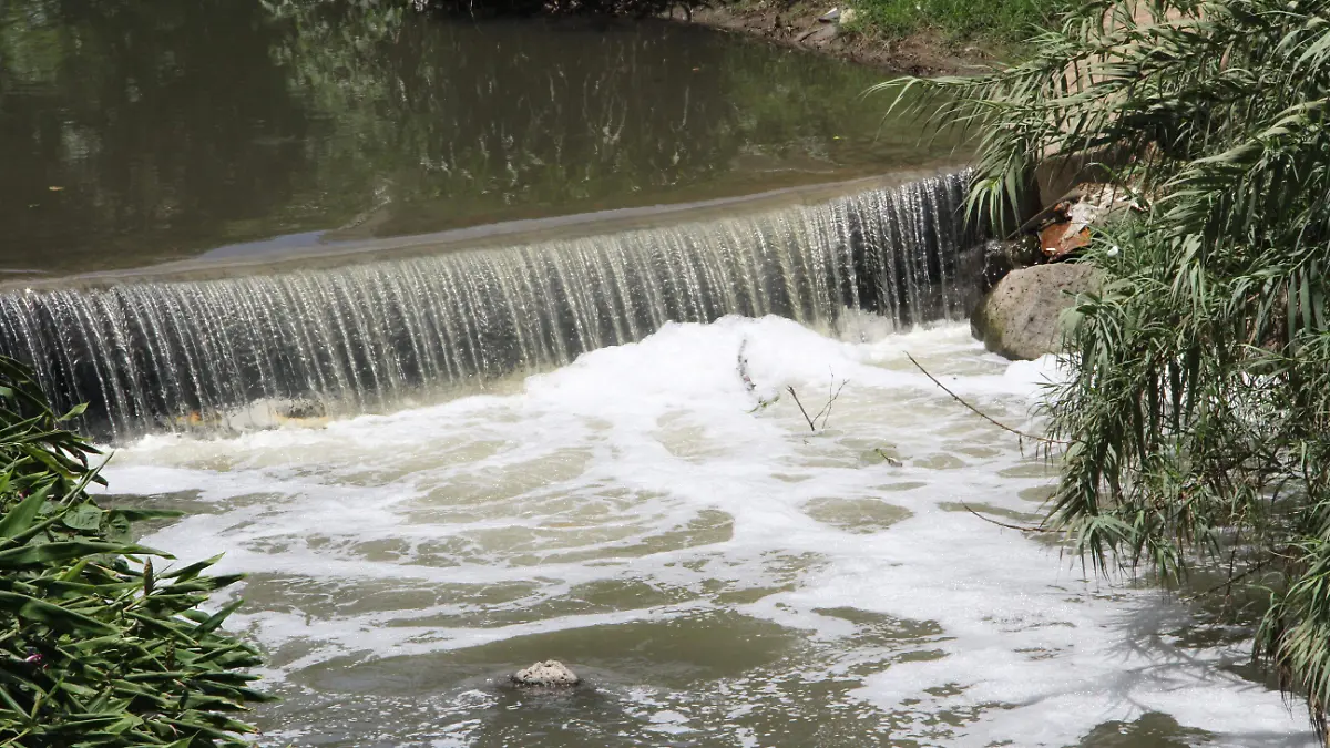 JE190820249517Contaminacion-Rio Sedeño