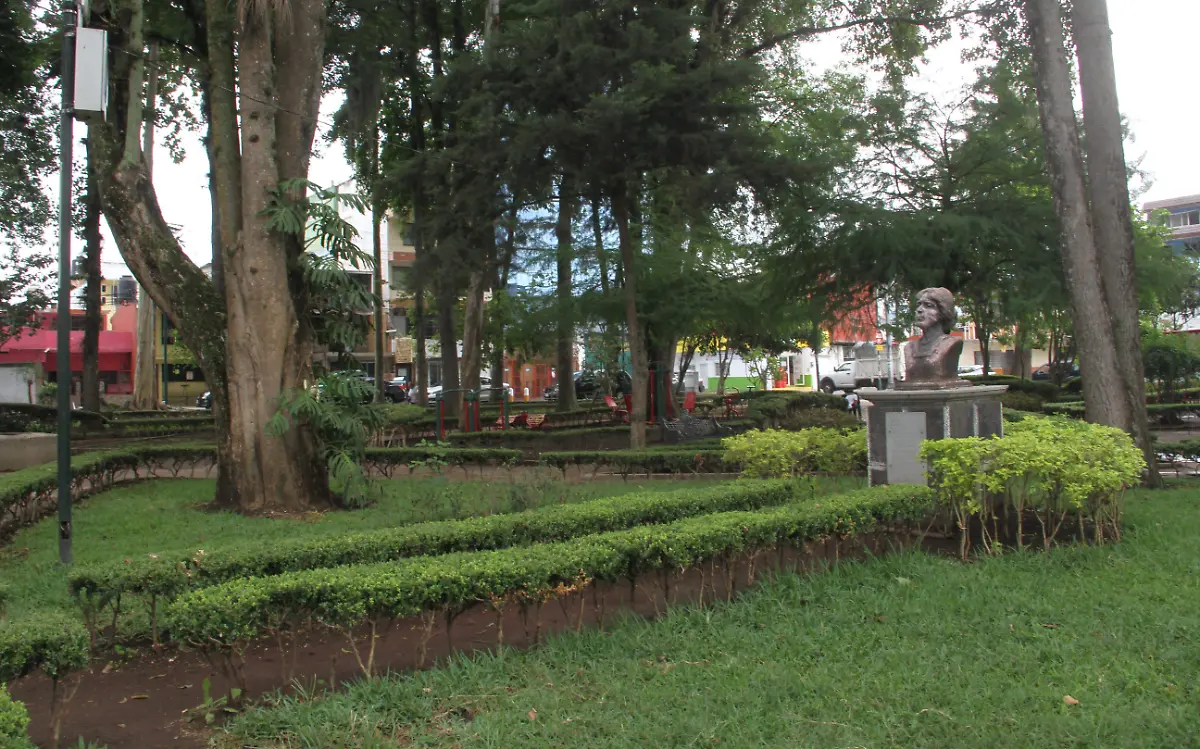 JE190620249436Parque Maria Enriqueta