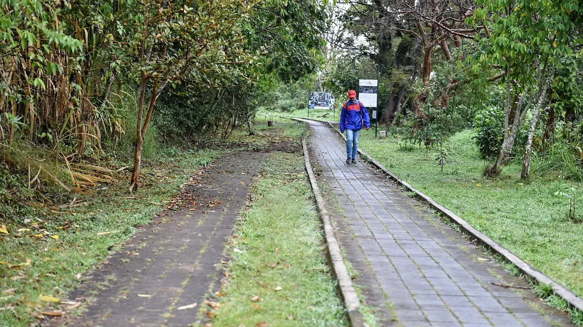 Cerro de las Culebras en Coatepec