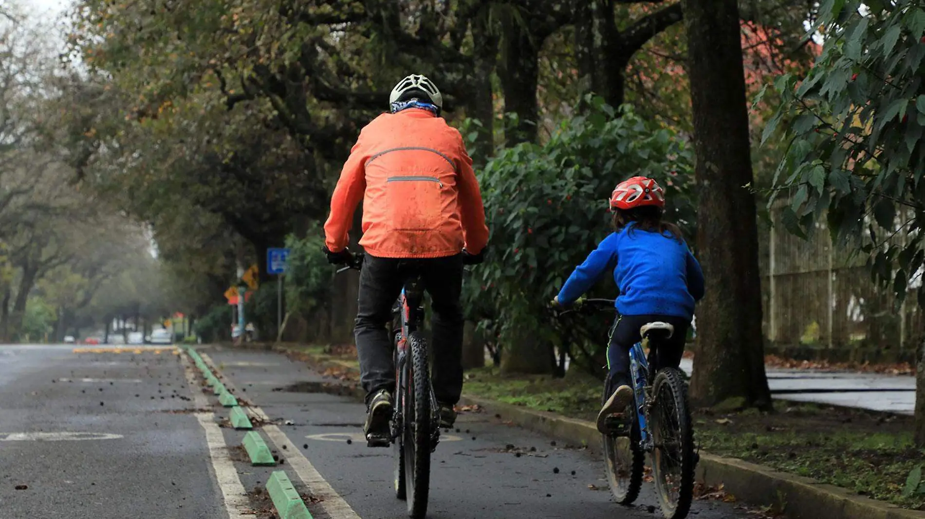 Ciclistas