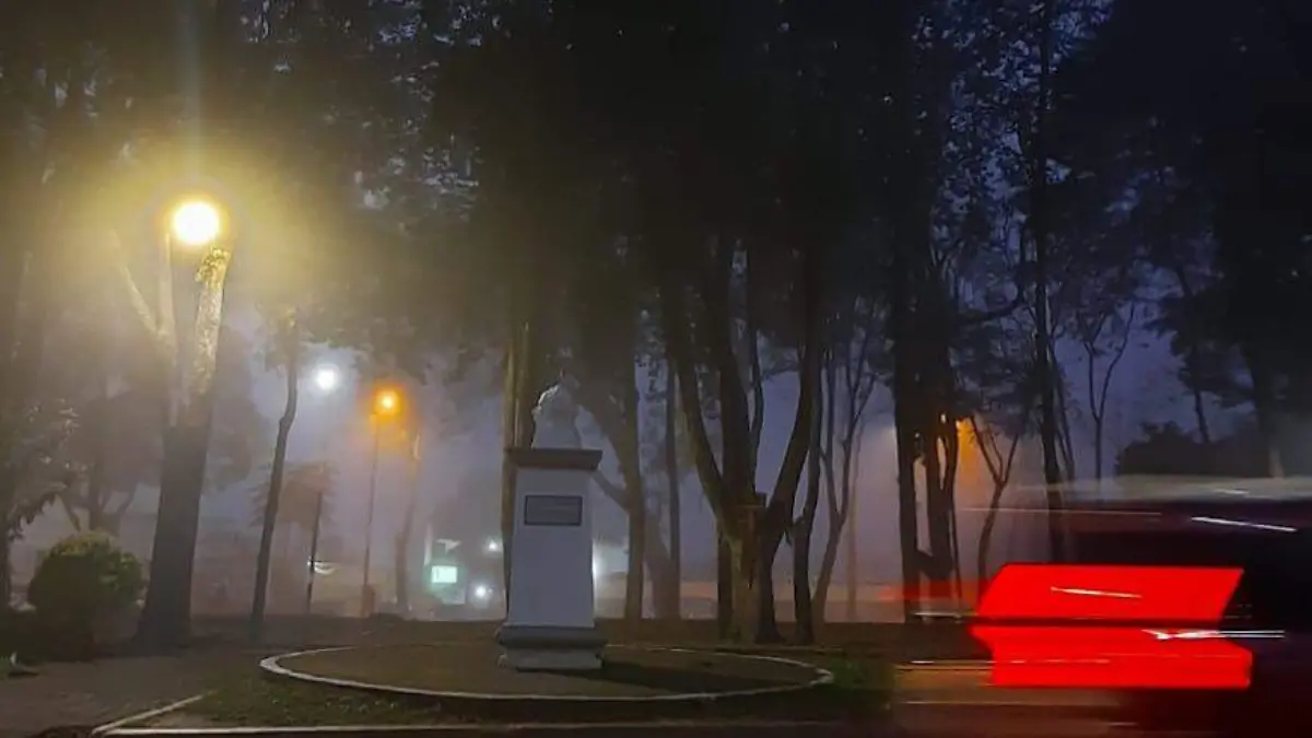 WhatsApp Image 2023-12-19 at 8.50.34 PM