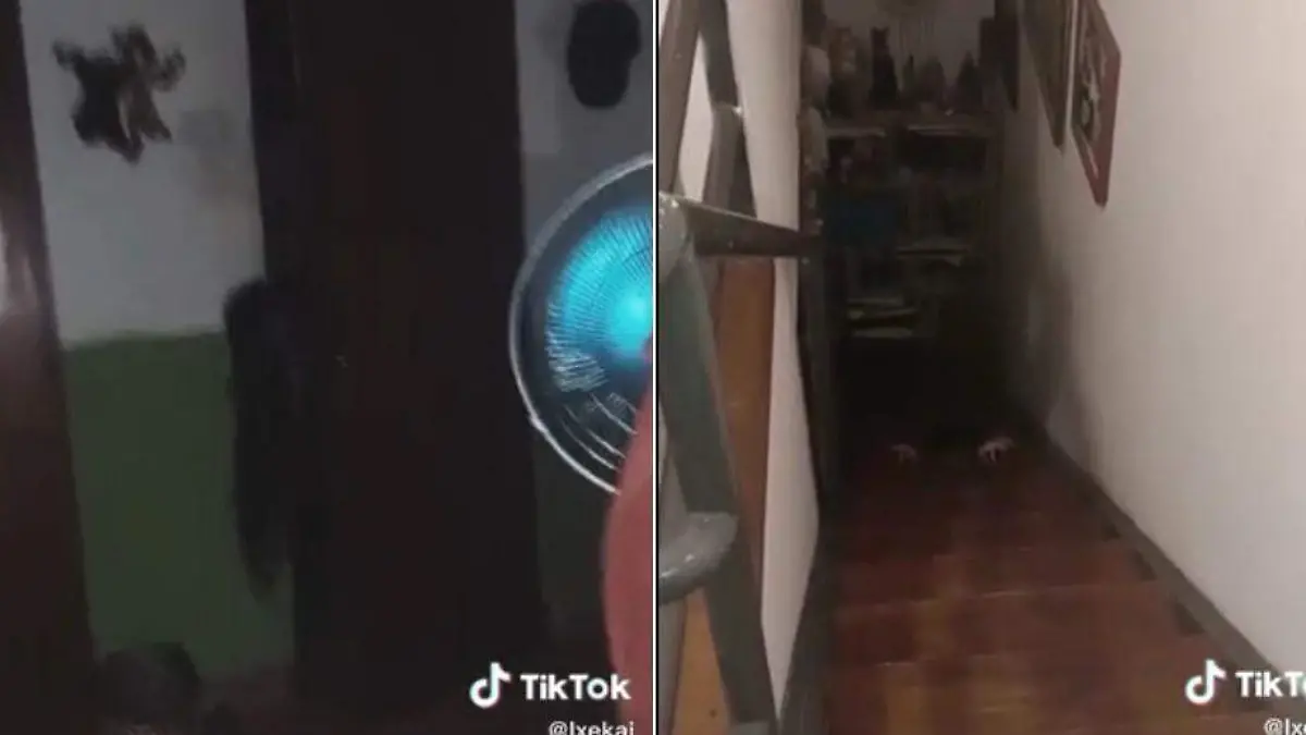Fantasma