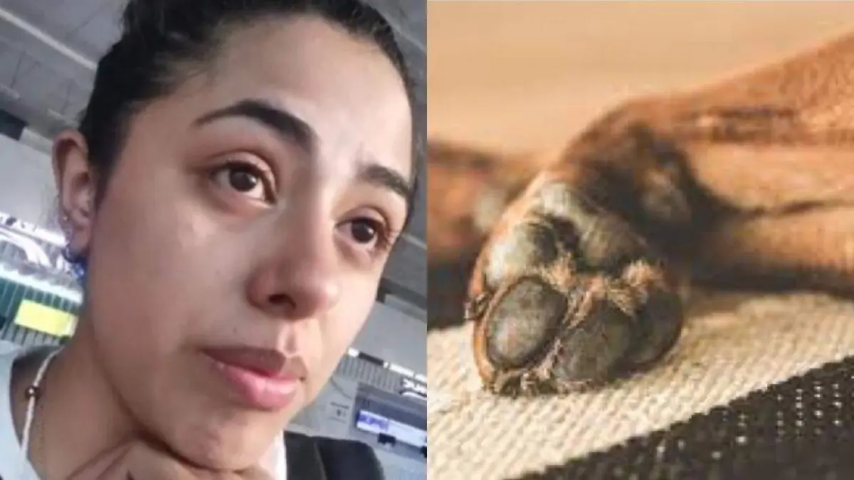 Jove expone a línea de autobuses, su perrito murió asfixiado