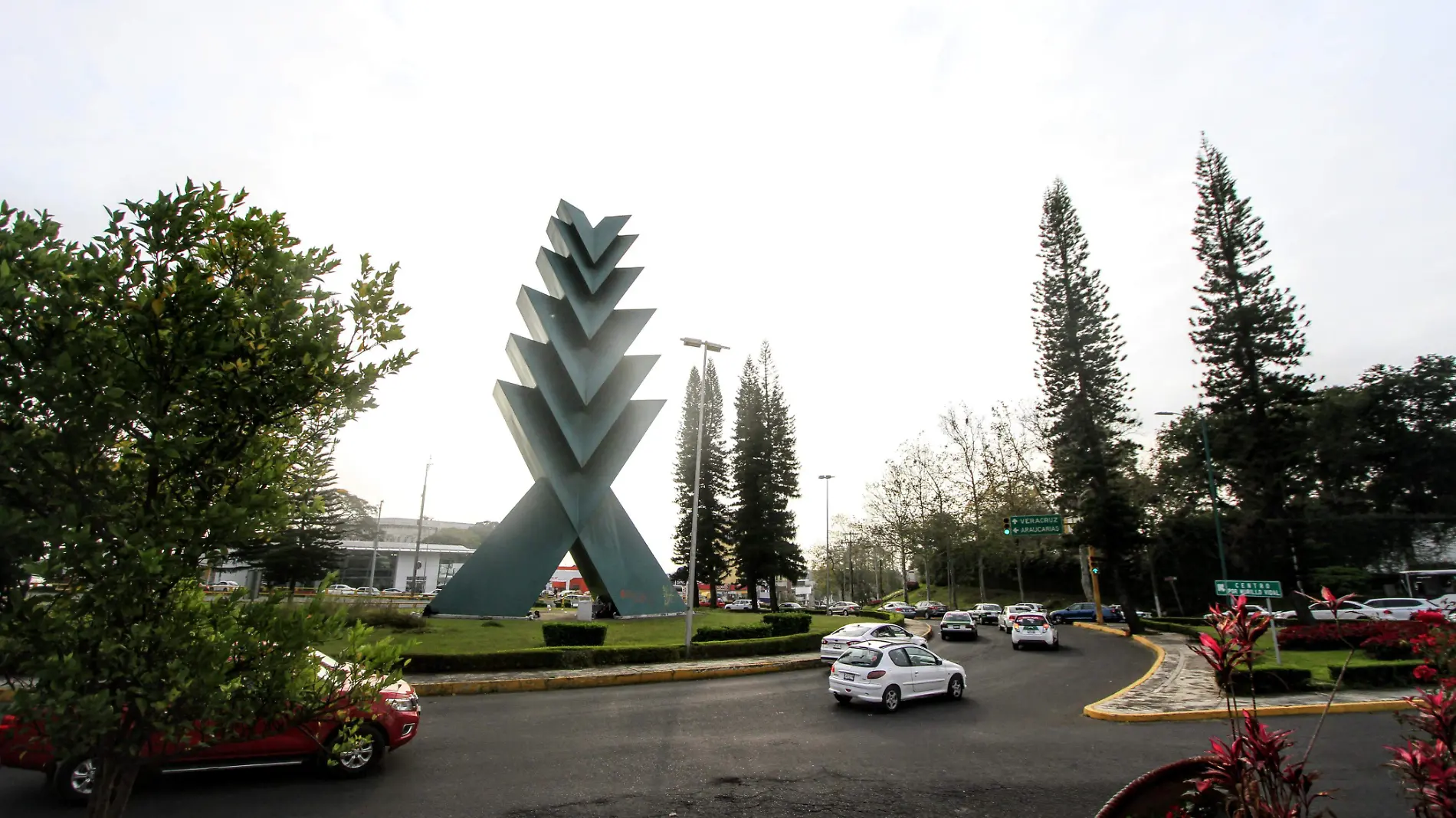 RENE-ARAUCARIA-XALAPA