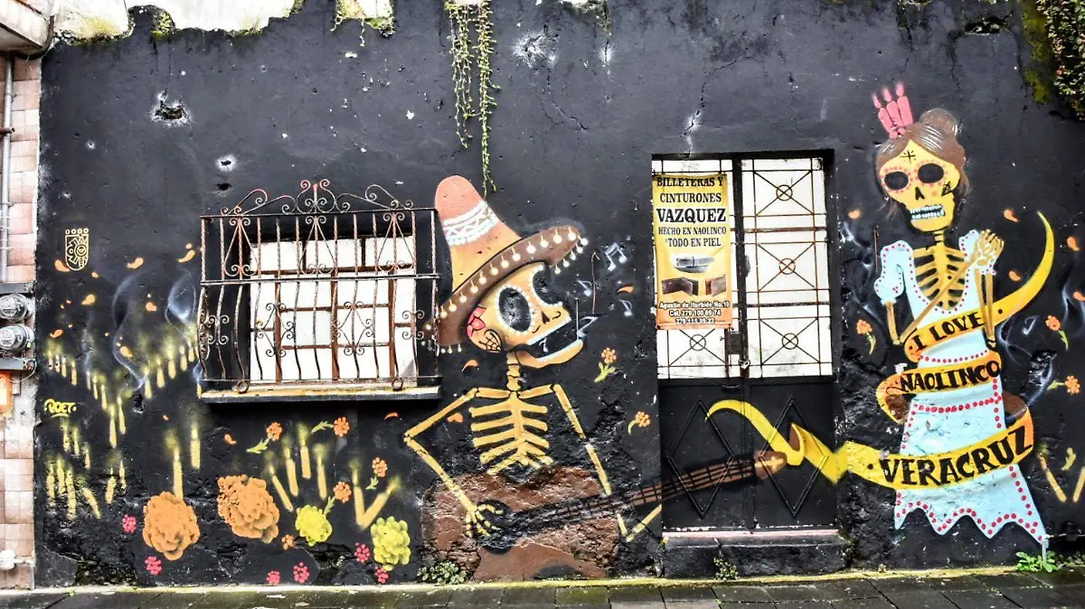 RENE-ASPECTOS NAOLINCO (3)