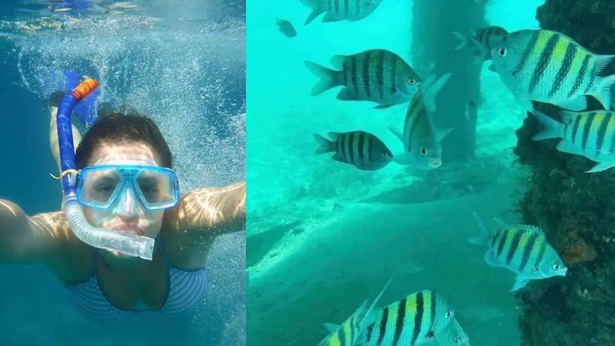 Cancuncito, paraíso perdido de Veracruz