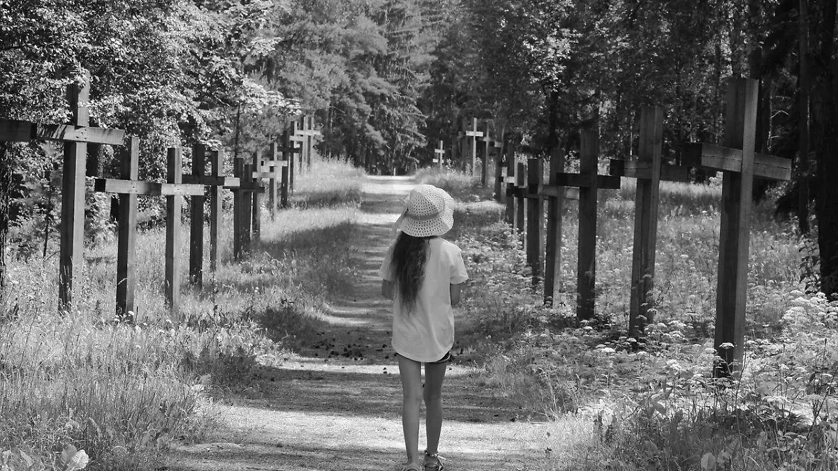 Camino