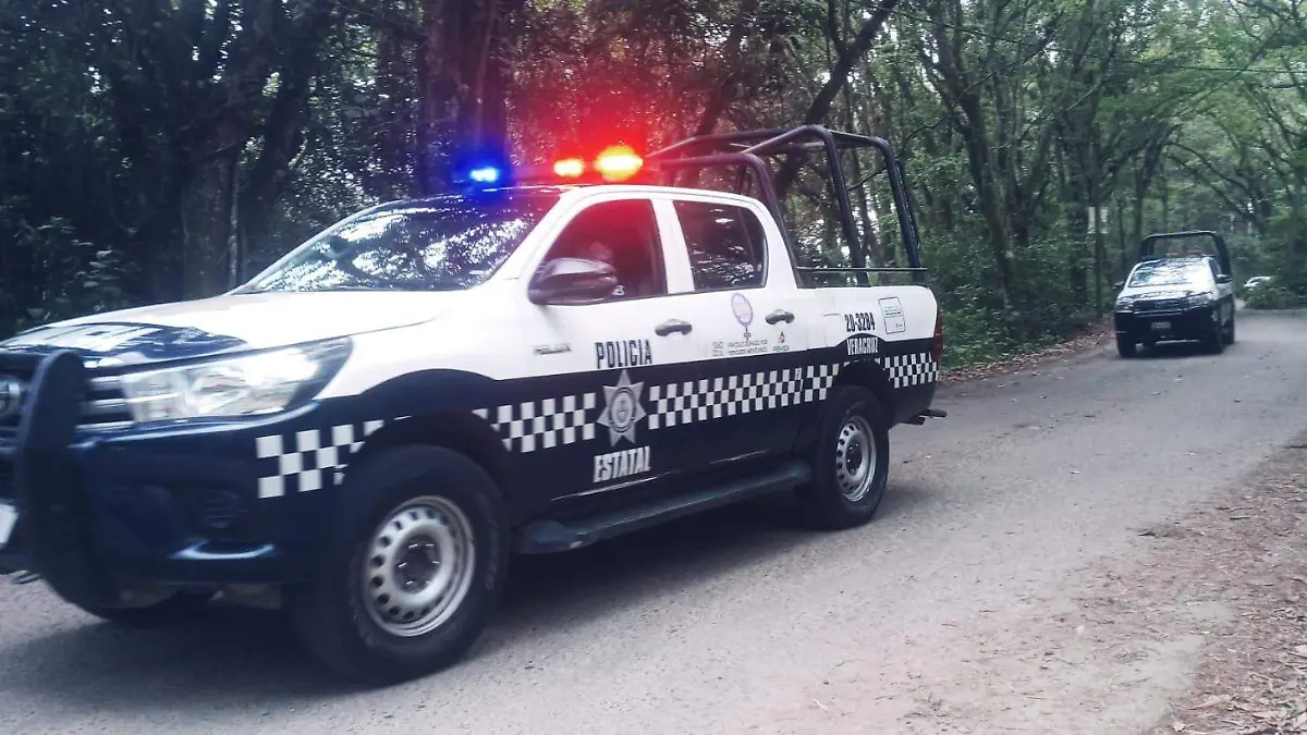 Policia Estatal