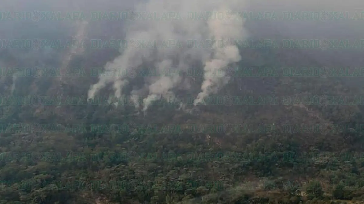 DB-Incendio-forestal-3