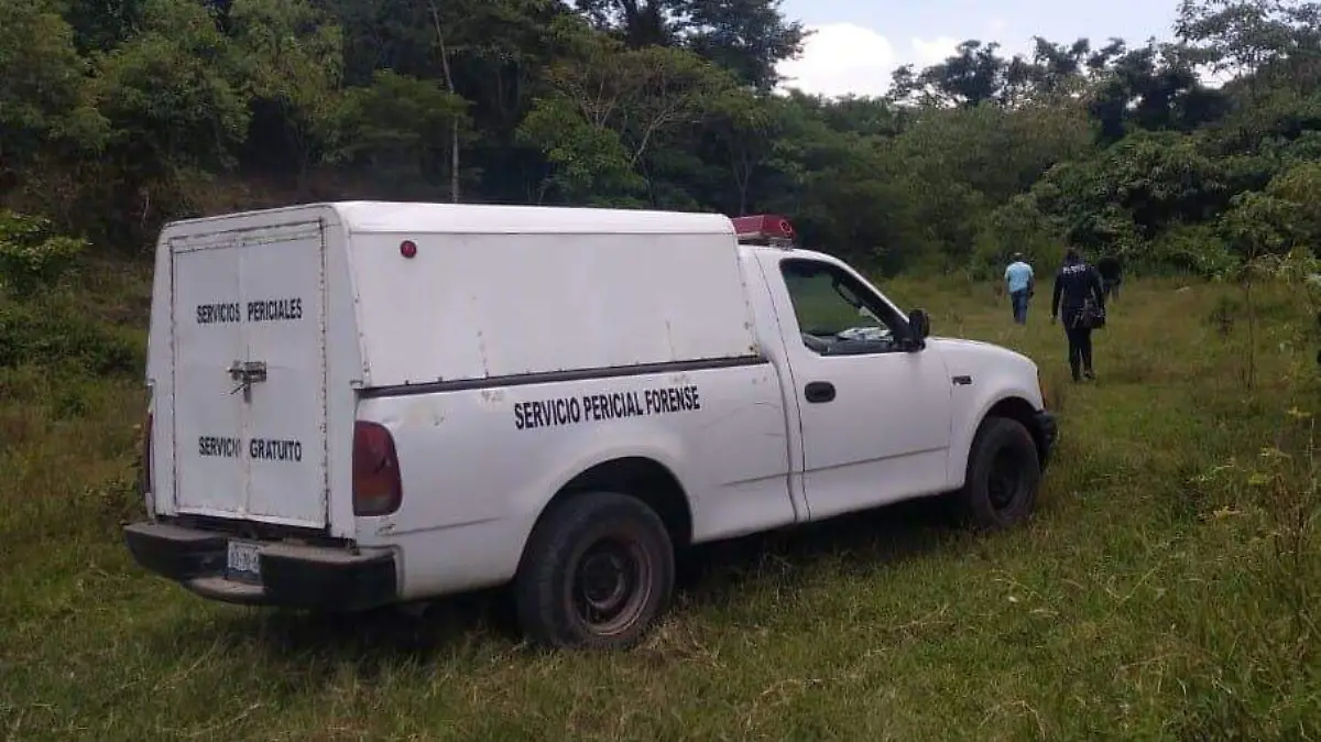 servicio forense xalapa