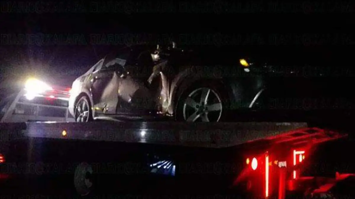 005d978b-0afb-4e98-9f1a-561bc3a7d97a