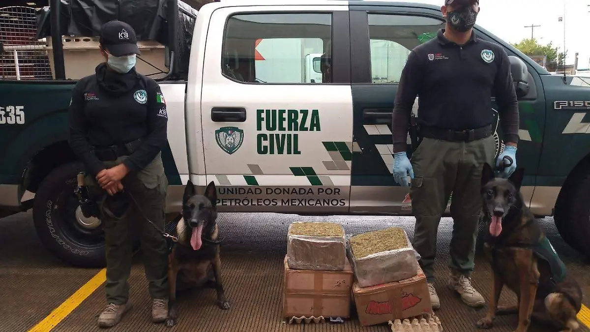 agentes caninos