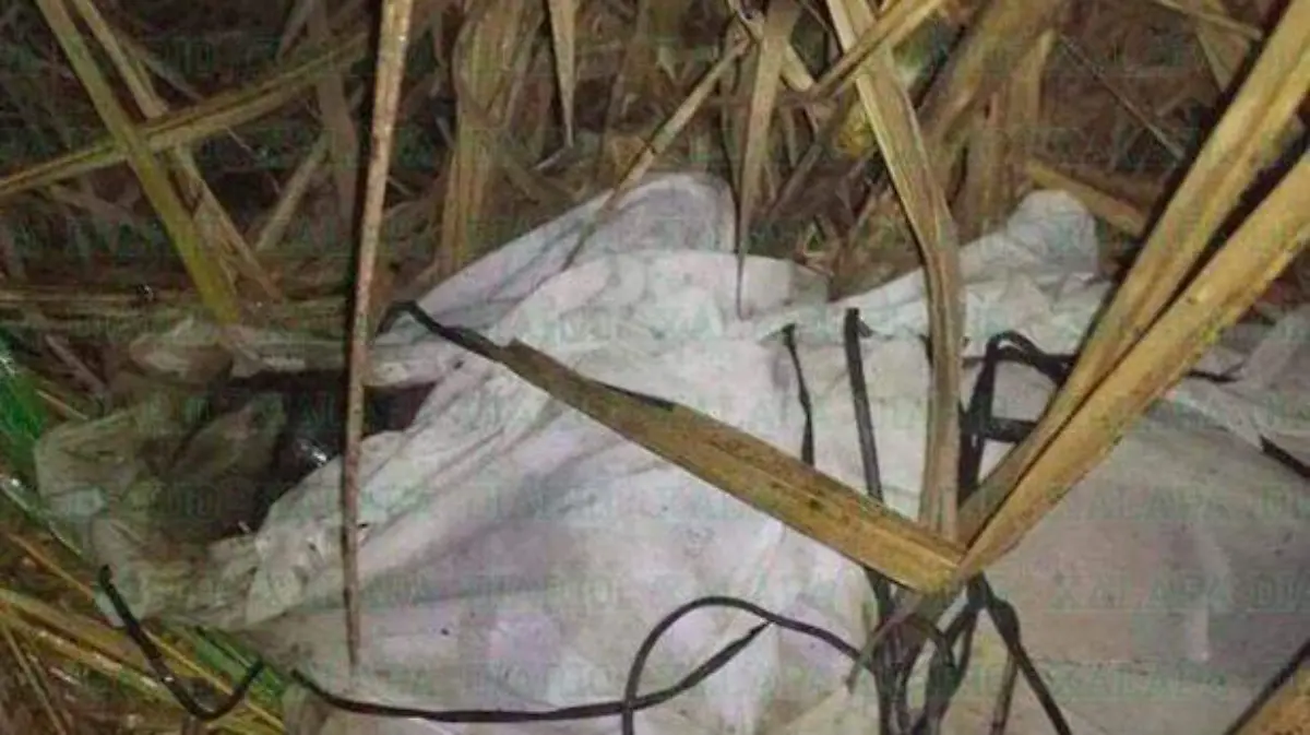 asesinan11
