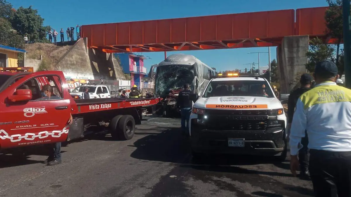 autobus banderilla1