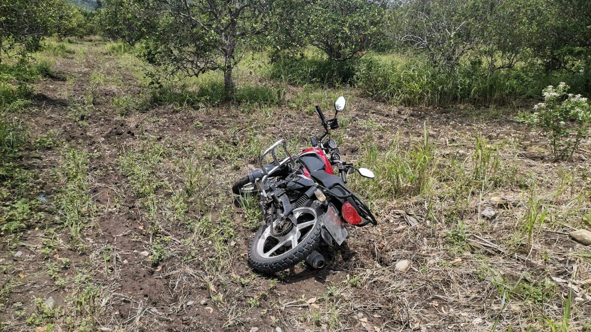 motocicleta