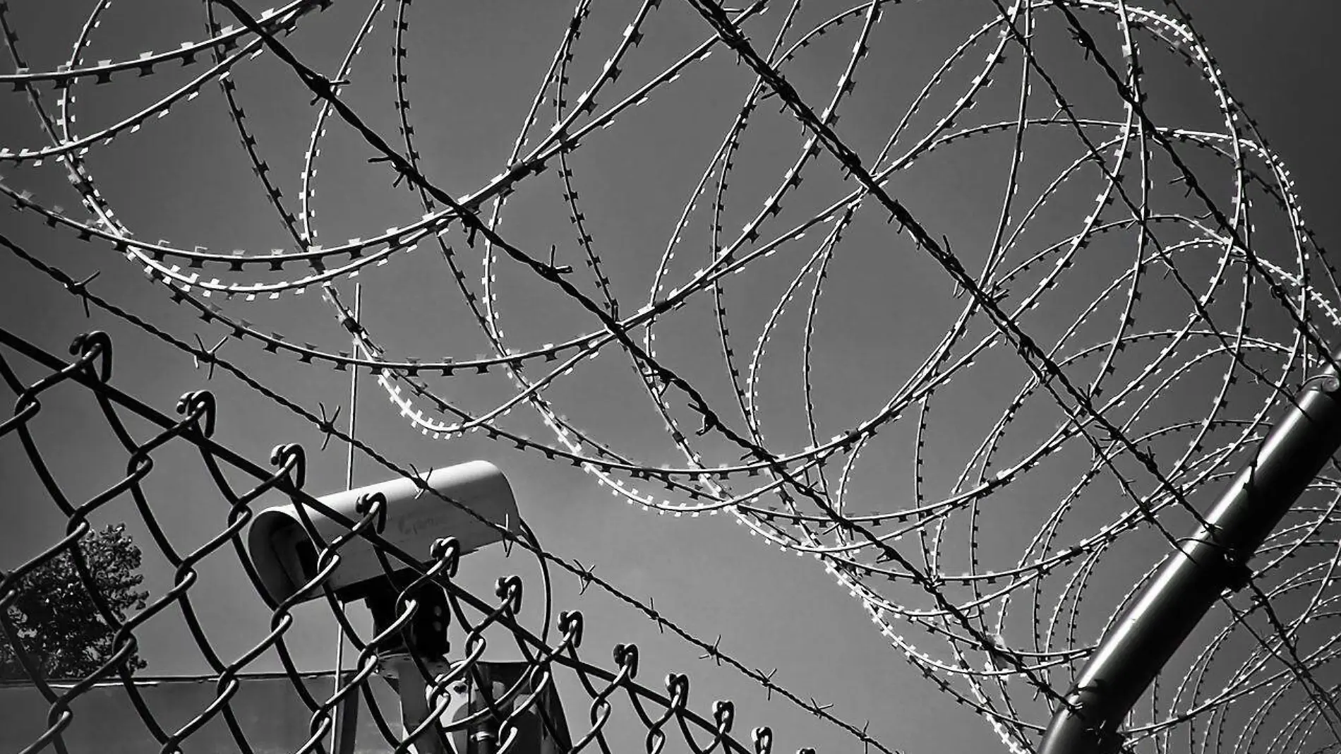 barbed-wire-gf45ab938d_1280