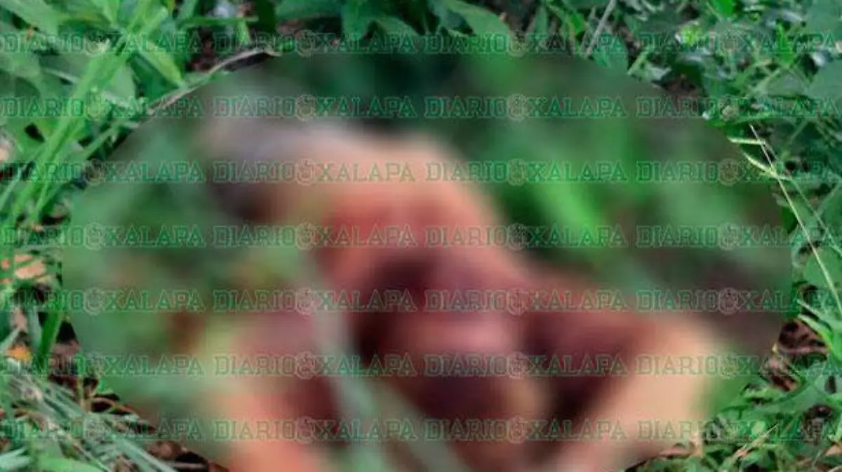 ejecutado