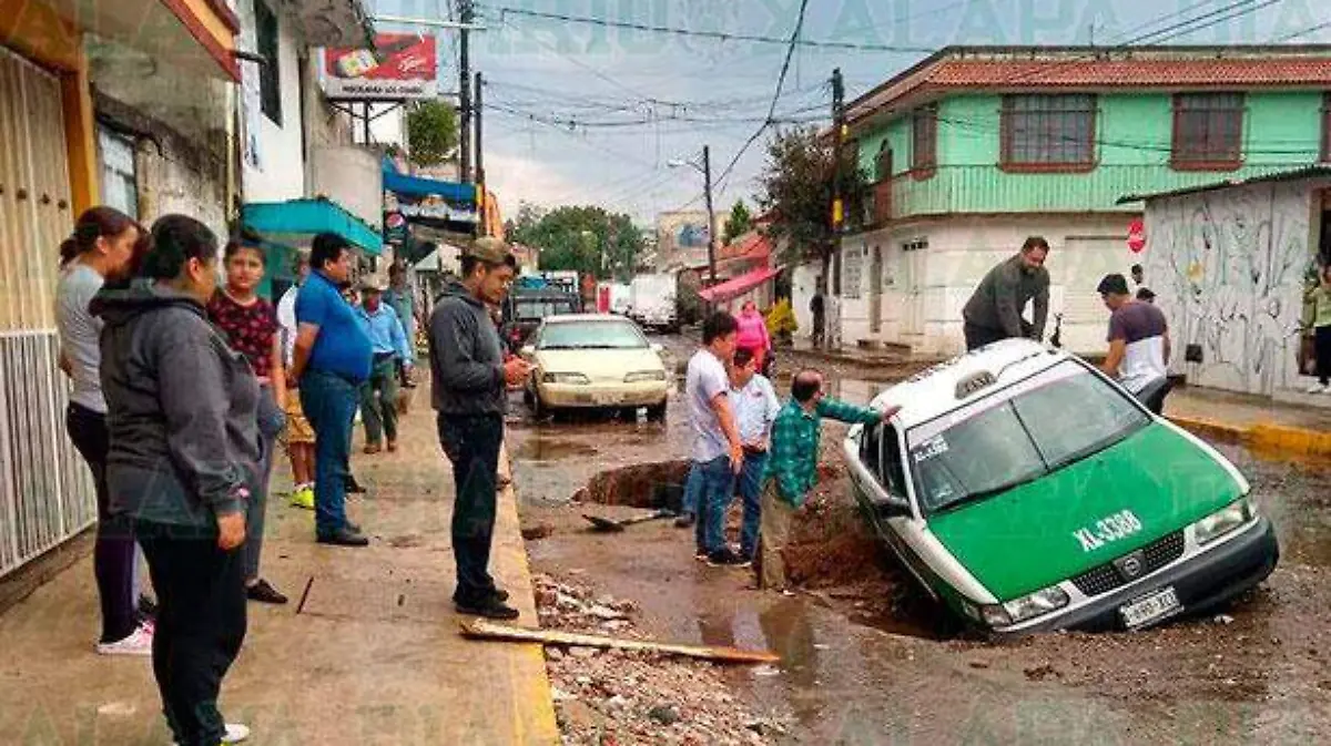 taxillo