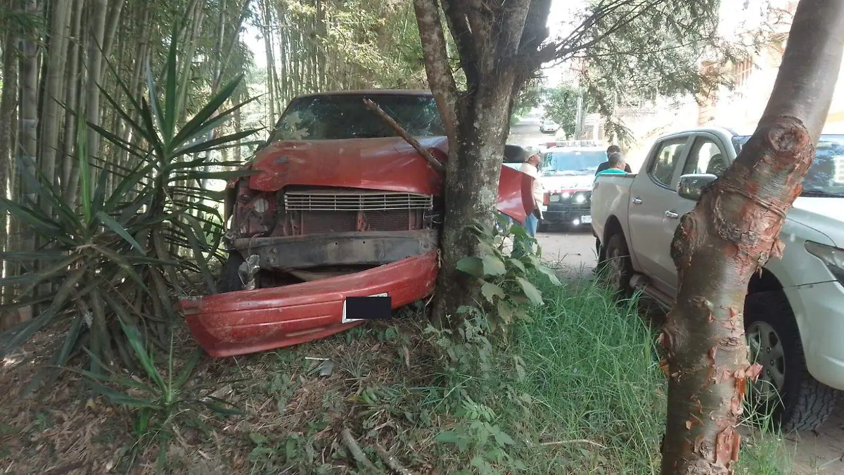 camionetas