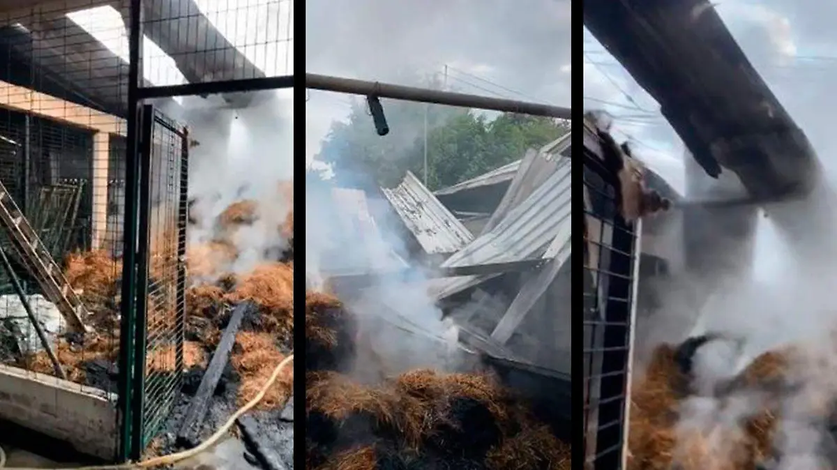 01-01-2020-INCENDIO-BODEGA