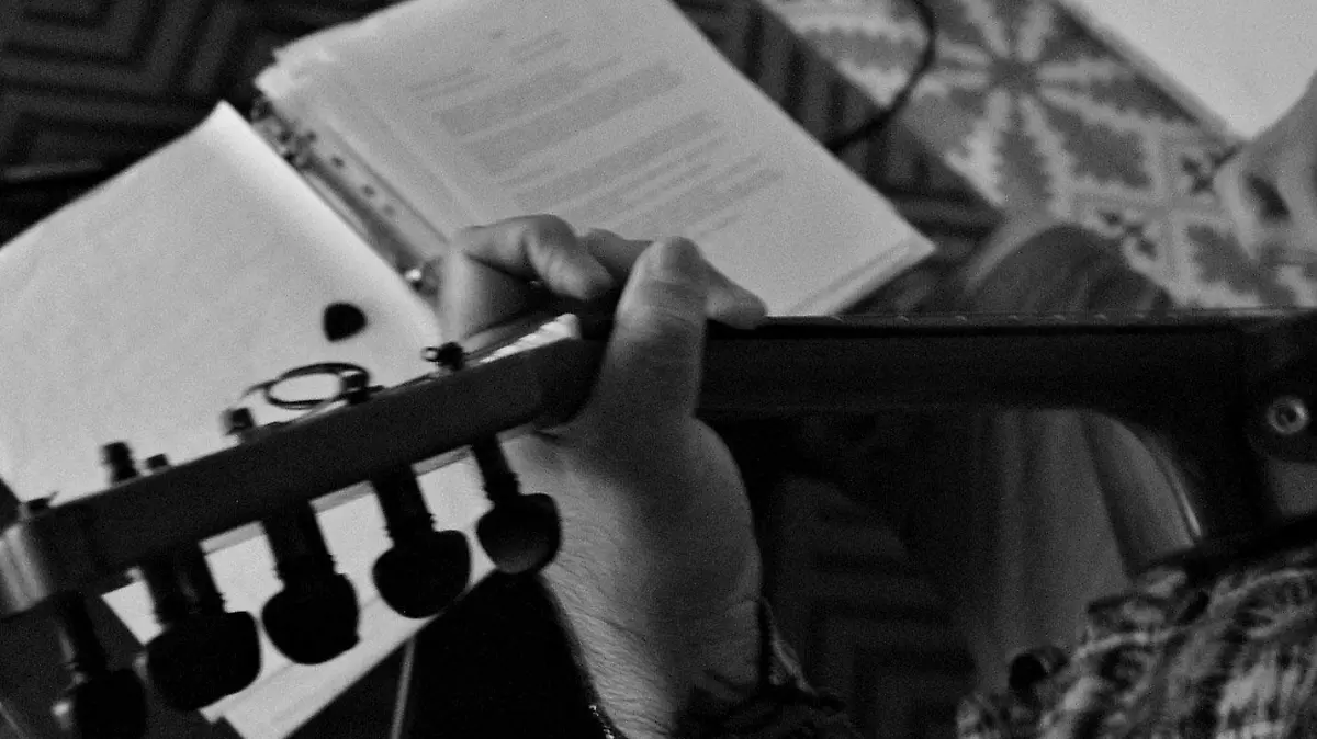 Son-jarocho-punk