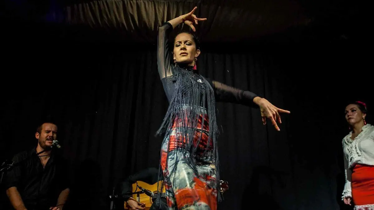 flamenco1