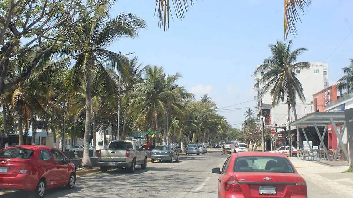Vecinos del fraccionamiento