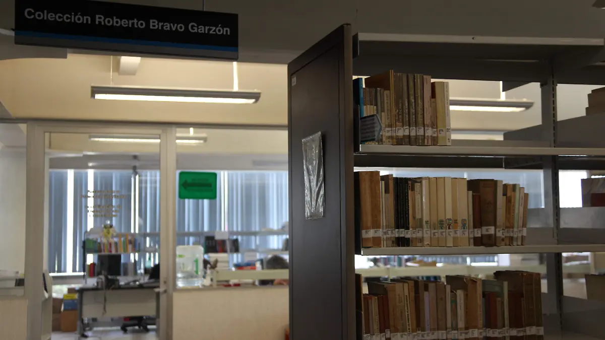 Colección Roberto Bravo Garzón