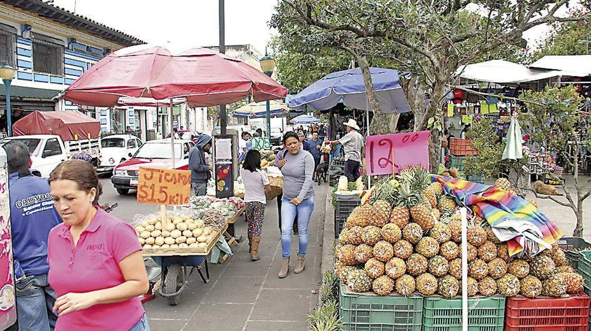 PIÑAS