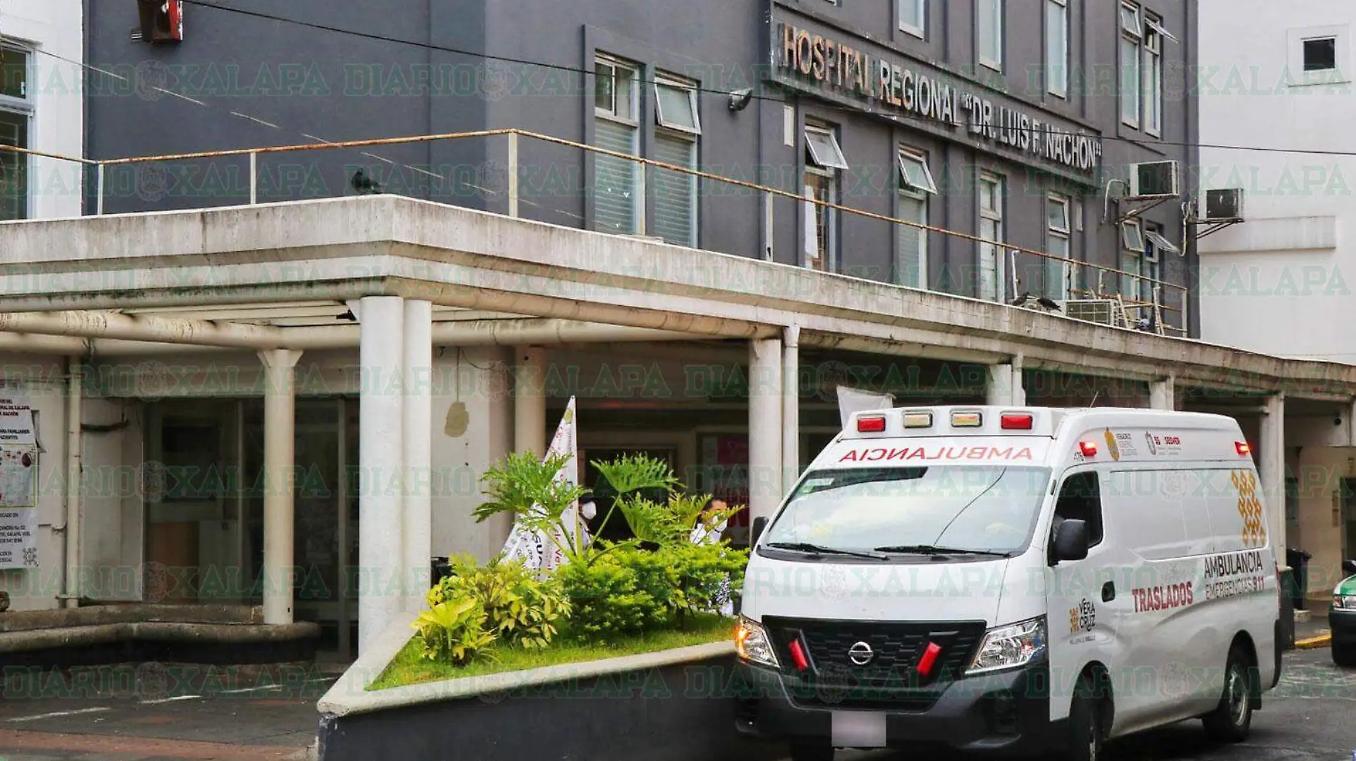 Hospital-regional-Luis-F-Nachon