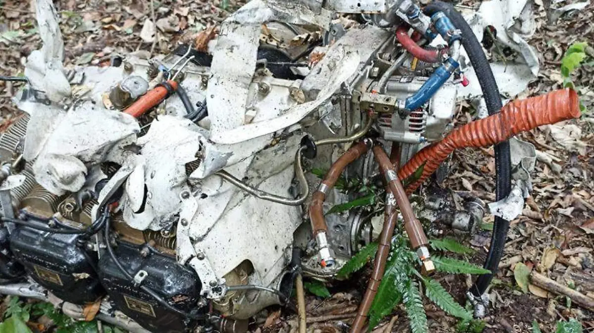 WhatsApp Image 2022-03-02 at 2.21.40 PM (1)