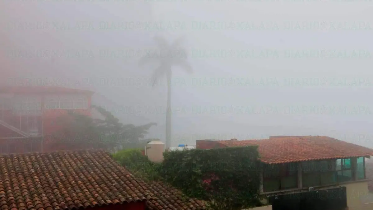 niebla3